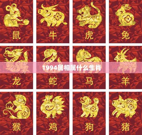 1994生肖|1994 年出生属什么生肖